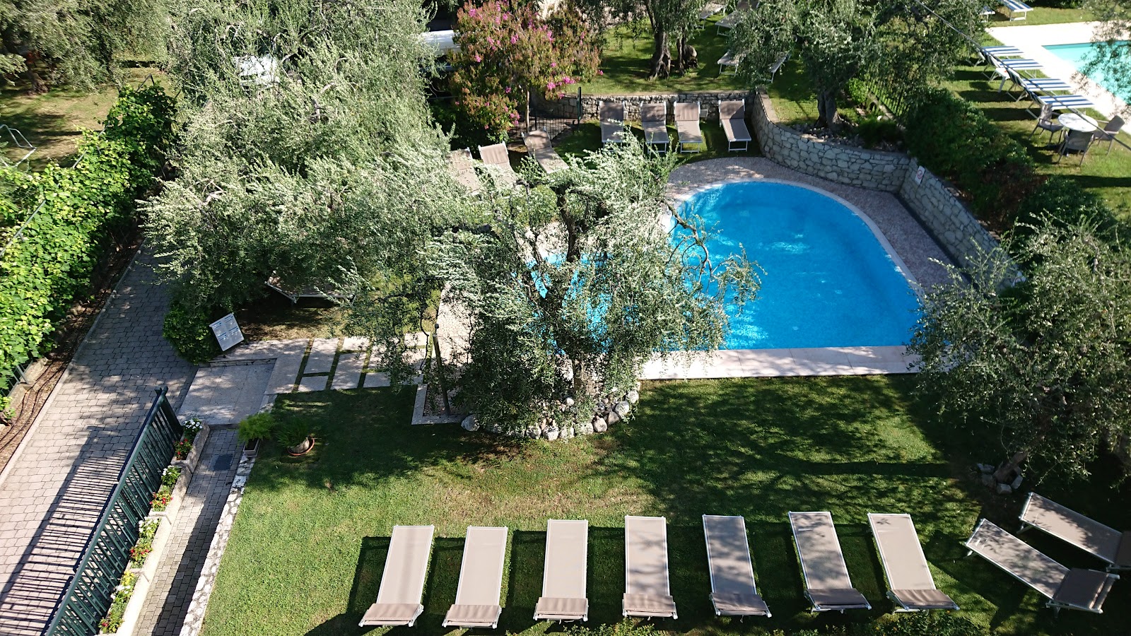 The pool and olive garden from above