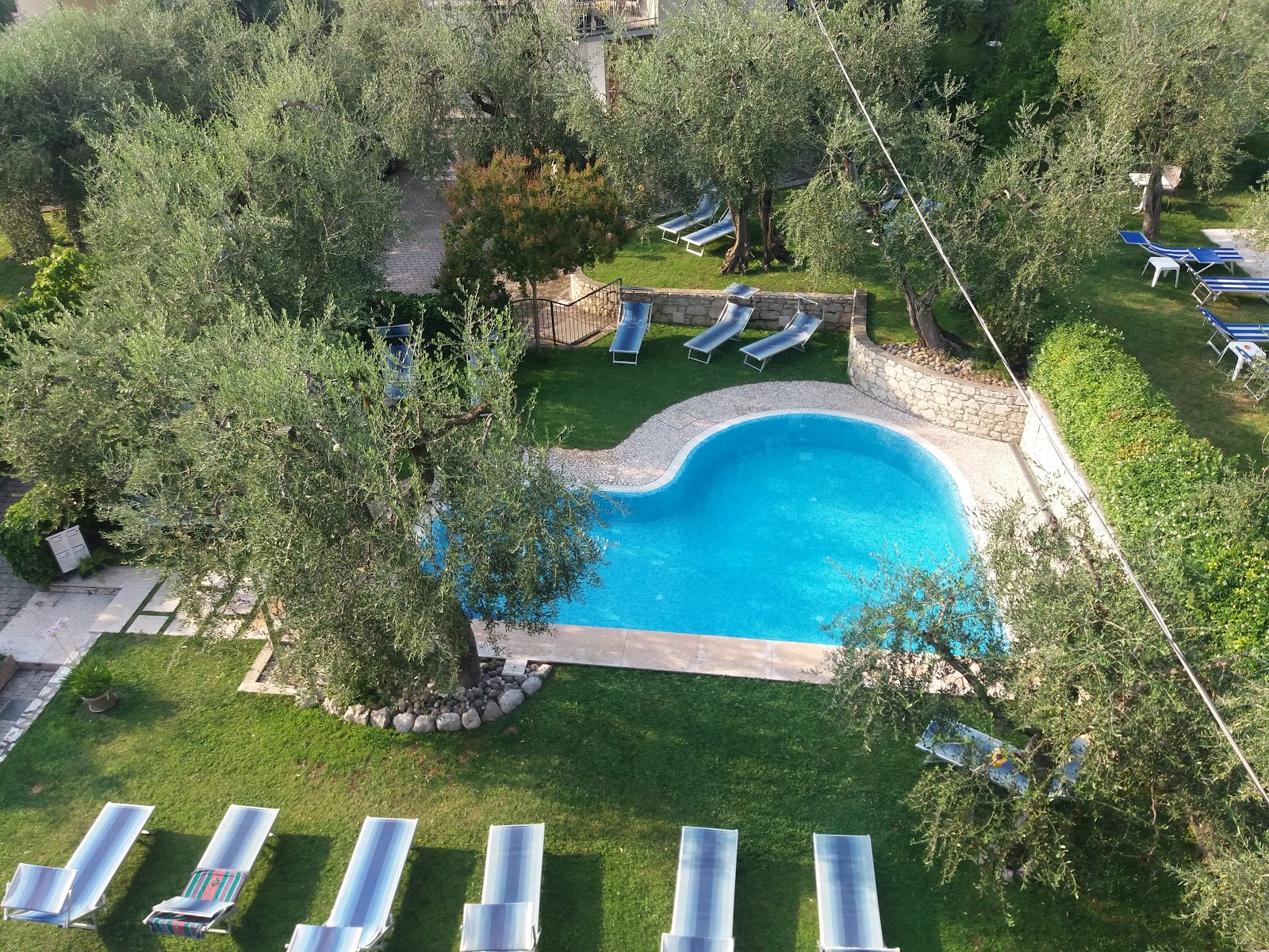 The pool of La Pergola among centuries-old olive trees