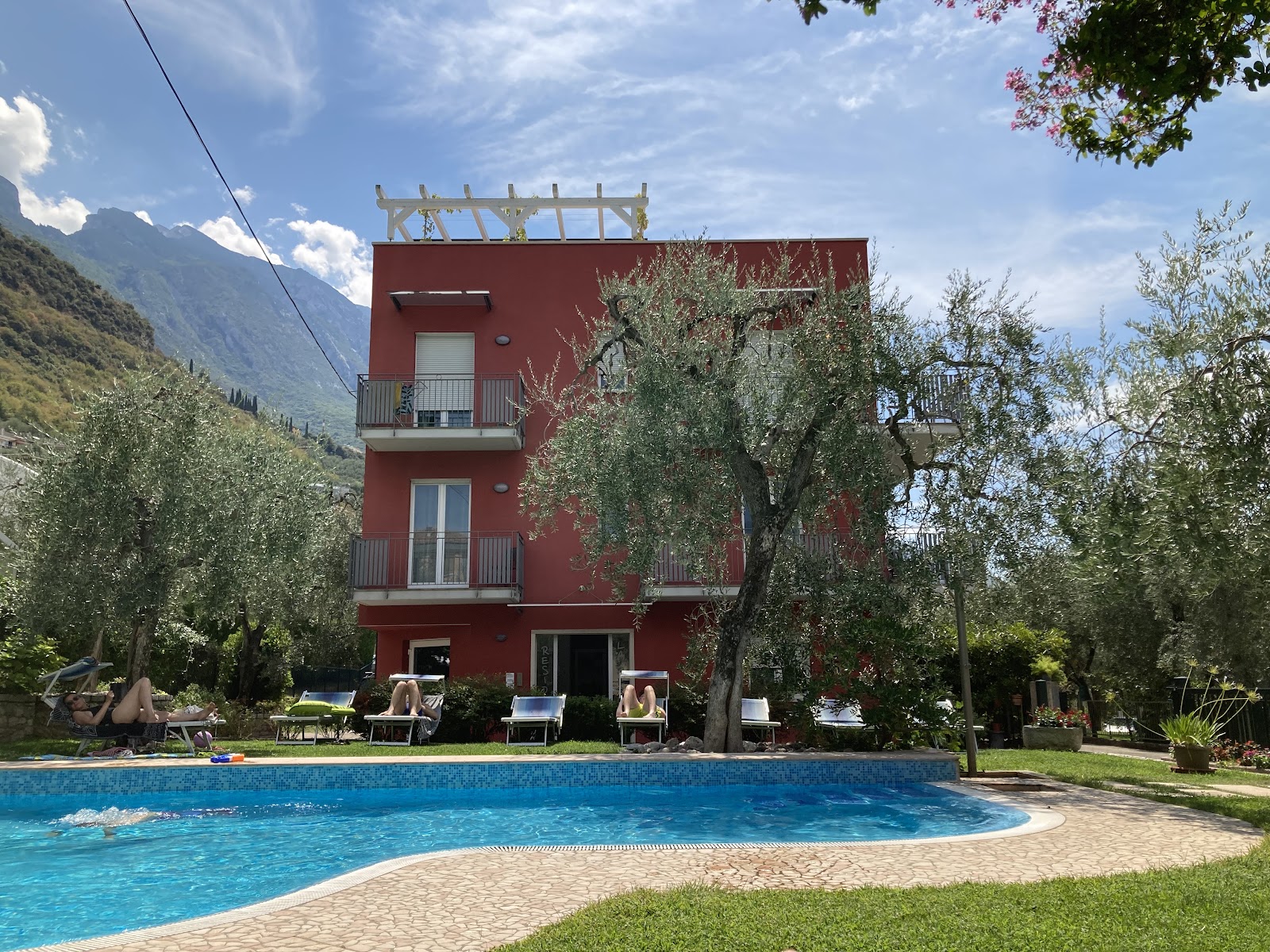 The residence and its pool among the olives